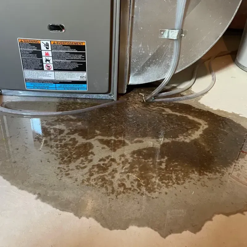 Appliance Leak Cleanup in Jennings County, IN